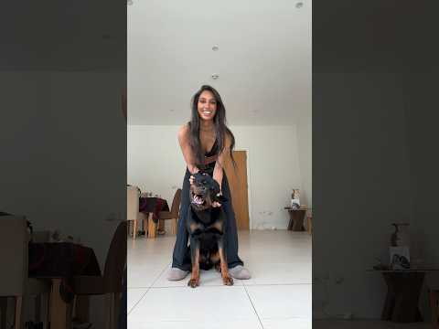 his face 😂 @nalatheneedyrottie  #rottweiler