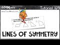 Symmetry in Shapes
