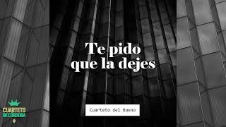 Cuarteto del Bueno - Te Pido Que La Dejes (Cover Damián Córdoba) | Visualizer Oficial