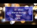 Marine Plants and Ecosystems