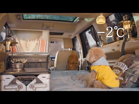 -2℃ Small Tent Car Camping with My Dog . Korean Pork Bulgogi . Wood Stove ASMR