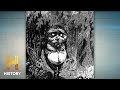 Bridgewater Triangle and Its Mysteries