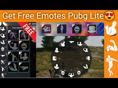 Emotes Pubg Lite Coupon 11 2021