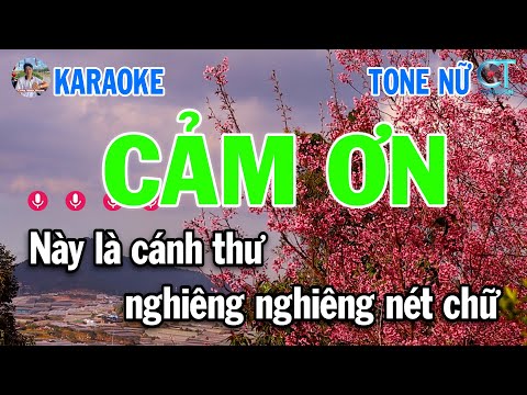 Cảm Ơn Karaoke Tone Nữ Nhạc Xuân 2025