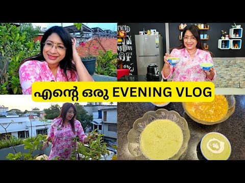 എന്റെ ഒരു വൈകുന്നേരവും സ്വാദിഷ്ടമായ 2 സൂപ്പും | MAKING OF GREEN PEA SOUP & CHICKEN MANCHOW SOUP