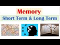 Memory Types and Functions
