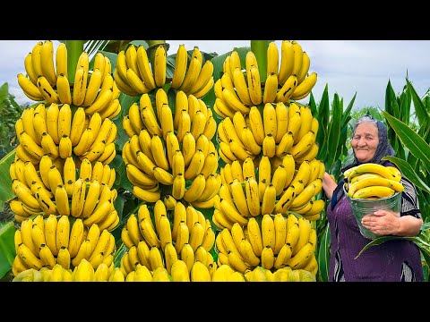 Grandma’s Secrets: You’ll Never Look at Bananas the Same After This Jam!