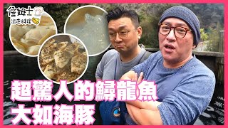 📌精選｜EP 61 超驚人！大如海豚的「鱘龍魚」 雙廚真男人享用豪奢鱘龍魚大餐！鱘龍魚燕窩、生魚片、魚子醬