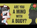 Mind and Body: Exploring the Connection