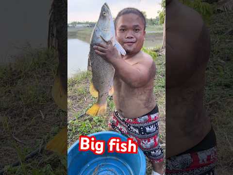 Big fish ปลากระพงน้ำจืด #funny