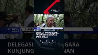 Delegasi Dari 16 Negara Kunjungi Perkebunan Salak Di Bali #shorts