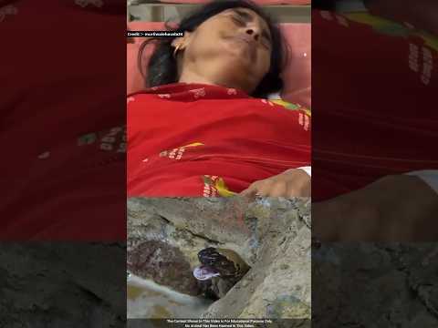 झाड़ू लगाते समय हाथ में कांटा कोबरा सांप 😱🐍