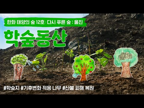 [한화그룹 광고] 태양의 숲 12호: 다시 푸른 숲 ┃ 경북 울진편