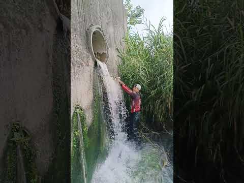 Naka abang sa Daluyan ng isda #fishing #fishinglife #followerseveryone