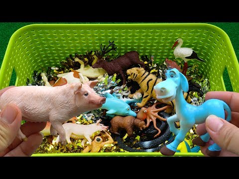 Som dos animais para crianças - Brinquedos de plástico para crianças