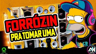 FORRÓZIN PRA TOMAR UMA 2025 - ATUALIZADO JULHO 2025 - FORRÓZIN AS MELHORES PRA PAREDÃO - DJ MELK