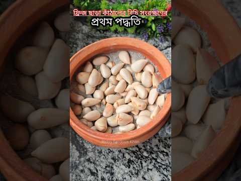 ফ্রিজ ছাড়া কাঁঠাল বিচি সংরক্ষণের প্রথম পদ্ধতি‼️#kathalarbichishrongkhron#কাঁঠালেরবিচিসংরক্ষণ#shorts
