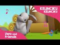 Understanding the Rabbit's Characteristics