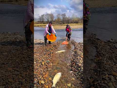 Qurbani Mubarak Special Fishing Part 56 #shorts #fishing #youtubeshorts