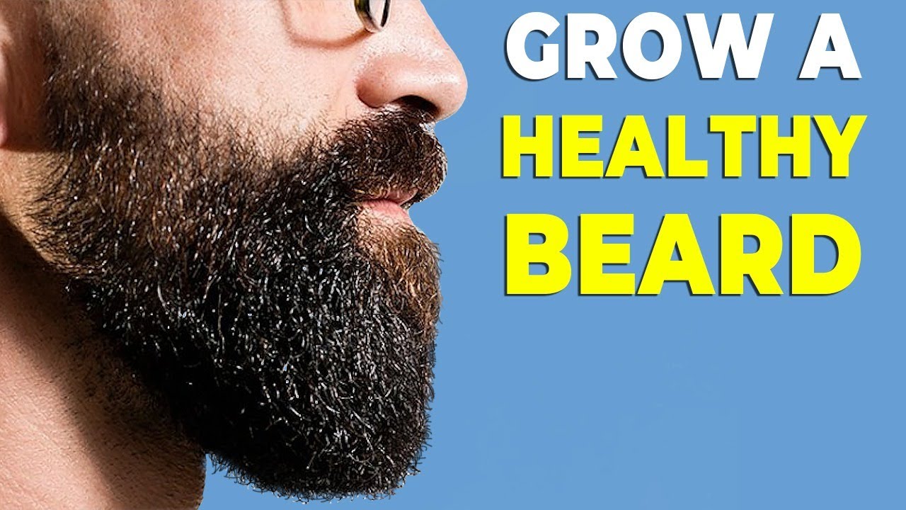 Beard Grooming 101 - How to Grow & Groom a Healthy Beard - Alex Costa