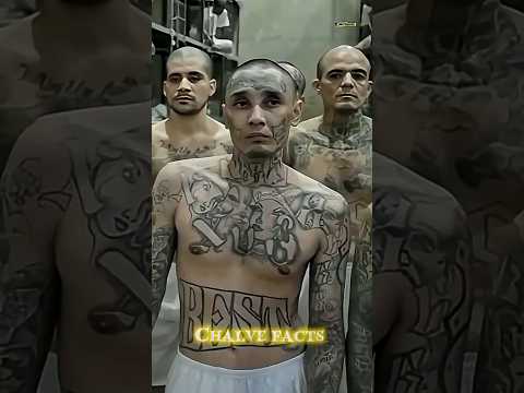 most dangerous jail in the world 🔒😈