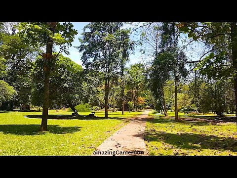 Uncovering the Hidden Secrets of Limbe Botanic Garden!
