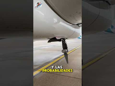 Siempre hay una RAT(a) a bordo de los aviones