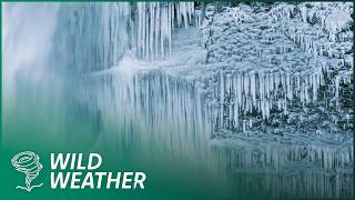 Is Snow Facing Extinction?