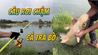 Câu rơi chậm cá tra bò siêu khỏe #chungnguyenfishing