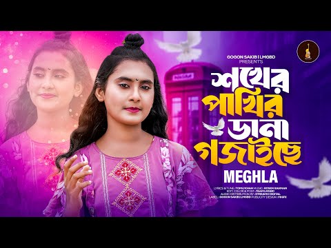 Shokher Pakhir Dana Gojaise | শখের পাখির ডানা গজাইছে | Meghla | Bangla Song 2024 | মেঘলার গান