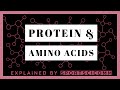 Understanding Proteins