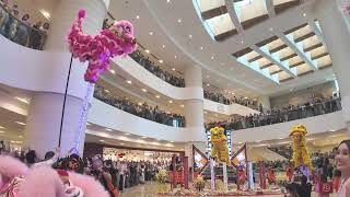 2026-Feb-23 香港中國農曆新年 醒獅#HongKongChineseLunarNewYear #LionDance Performance Lion Dance @ PacificPlace