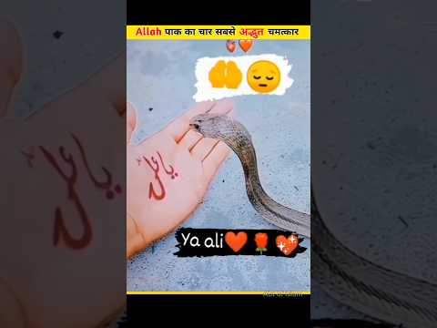 😱 Allah पाक का चार सबसे अद्भूत चमत्कार 😯/#ytshorts #shortvideos #shorts #islam