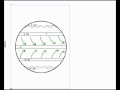 Exploring the Coriolis Effect