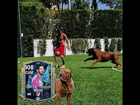 Neymar’s Dog 😂 #eafc26 #shorts #fcmobile #eafc #easports #fifa