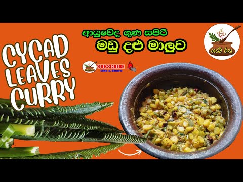 Cycad Leaves Curry මඩු දළු මාළුව මහා ගුණ ඇති @GAMIRASA