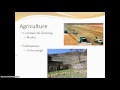 Seed Agriculture and Its Benefits