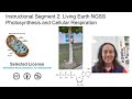Exploring the Cycle of Photosynthesis and Cellular Respiration