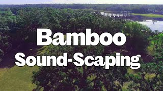 How We Planted a Bamboo Wall to Block Road Noise| Sustainable Sound Scaping