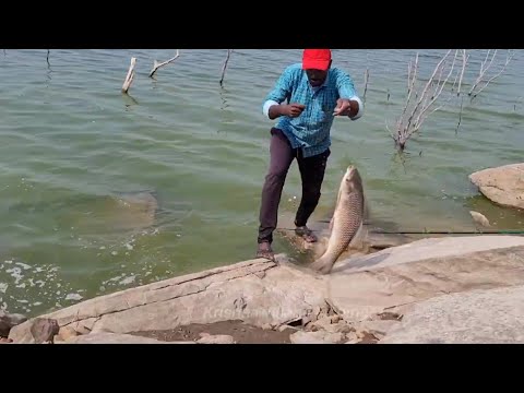 STRONGEST. 🎣 .By SINGLE HOOK in KRISHNA RIVER FISH HUNTING ROHU FISH FLOAT FISHING