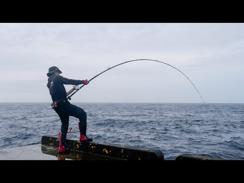 【奇跡】20kg超の大物が巣食う堤防で小魚を泳がせると…遂に弩級の化け物が掛かる【青ヶ島編 #4】