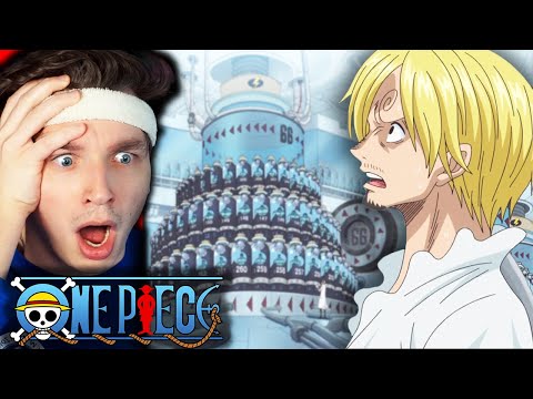 SECRET OF GERMA 66 (one piece reaction)