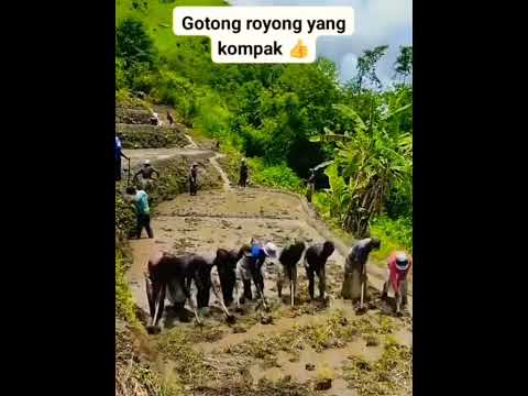 gotong royong yang kompak #rekreasi #bukit #petani #Tren #reels
