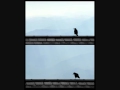 Understanding 'The Raven' by Edgar Allan Poe