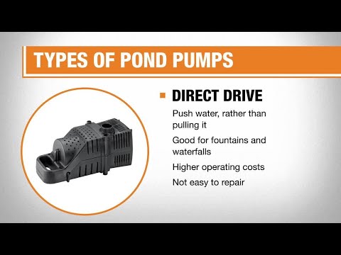 Best Pond Pumps for Your Garden