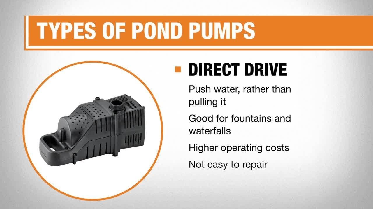 Best Pond Pumps for Your Garden
