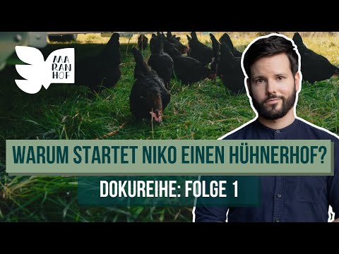 Darum halten wir Hühner • Maranhof-Doku (Teil 1/5)