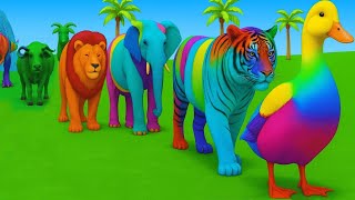 Long Slide Game with Cow Elephant Gorilla Hippopotamus Tiger 3d Animal Game Funny 3d Animals