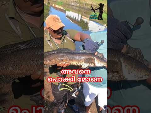 ഇവനെ പൊക്കിയത് കാണണ്ടേ#shorts