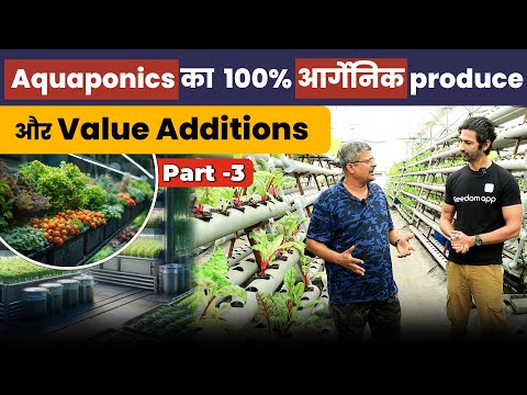 Aquaponics खेती के 100% Organic Produce की बढ़ती Demand | Aquaponics Farming Part - 3